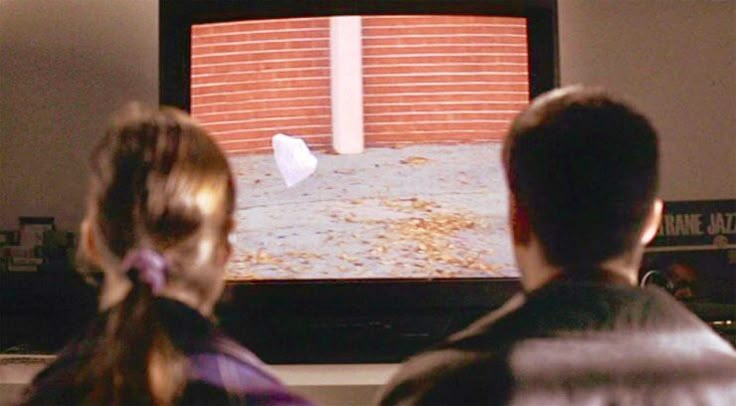 american beauty