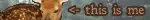 blinkie: an arrow pointing to a white tailed deer to the left of text that reads this is me