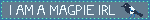 magpieirl.gif