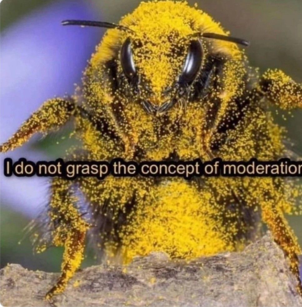bee