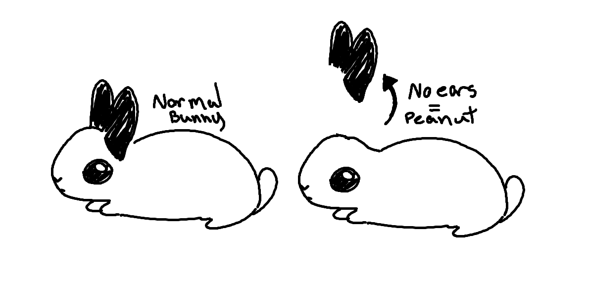 peanut%20bunny%20example.png