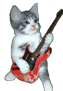 catplayinguitar
