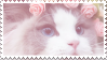pretty kitty