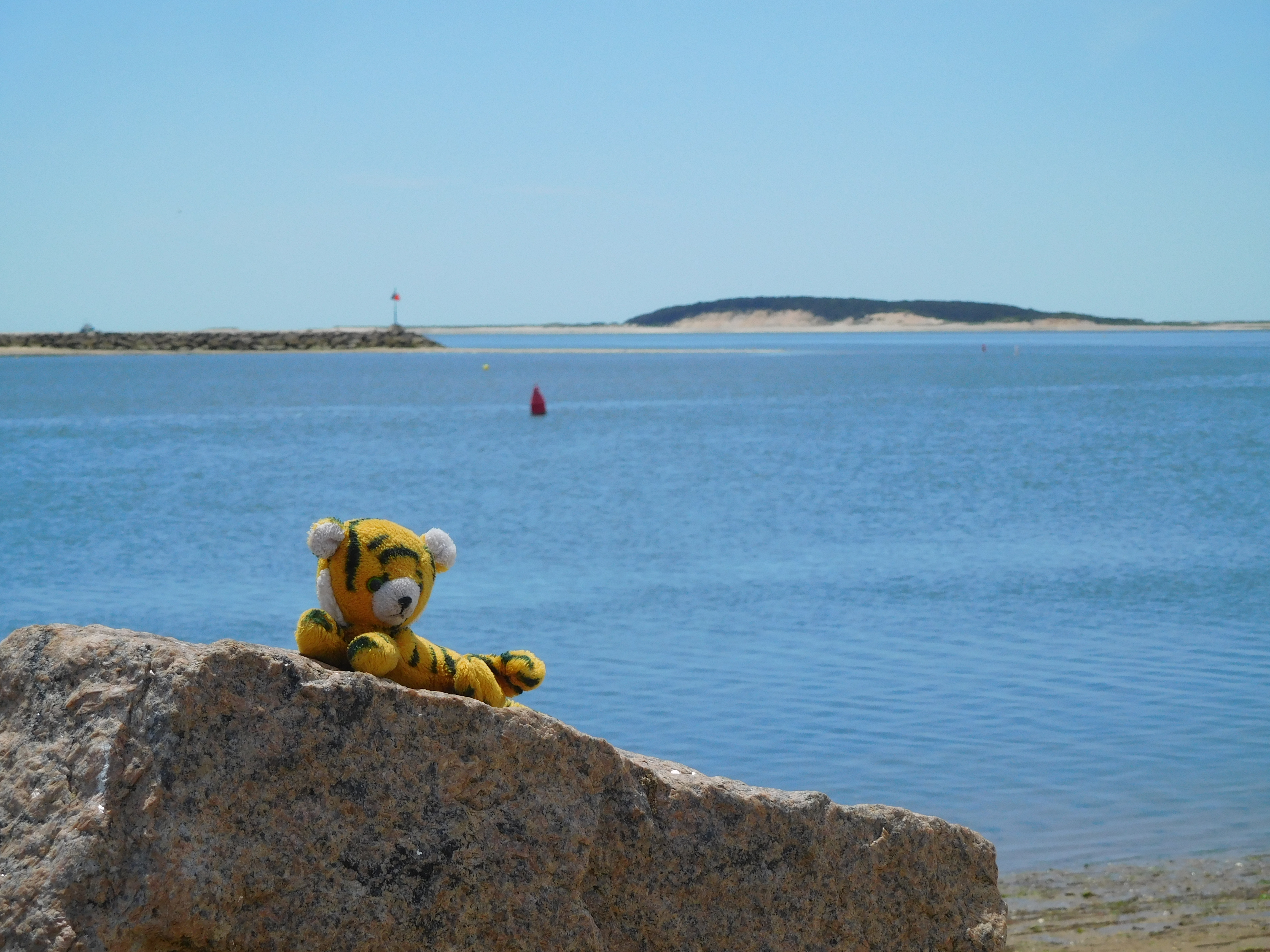 a plush tiger sitting on a rock, with the ocean and some small landmasses in the background