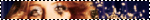 giphy-2