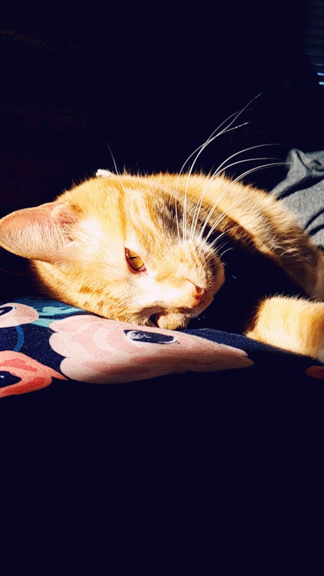 Tommy <3