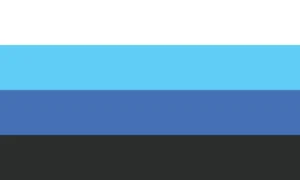 transmasc flag