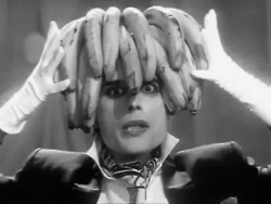 Freddie!