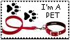 I'm a pet