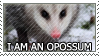 tumblr fdc9322865932fee459298e332908b76 ccf24b1a 100 (1)