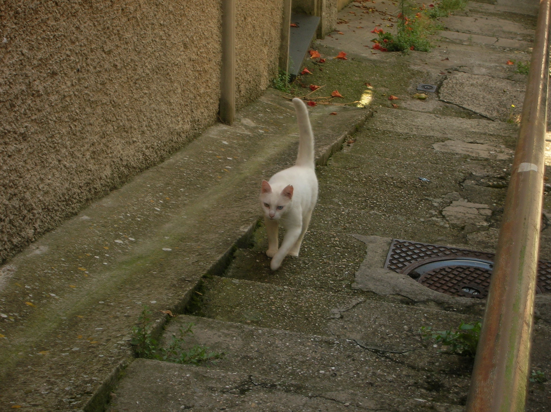 DSCN2182.jpg