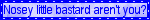 Tumblr l 303727384286179