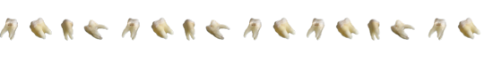 Teeth-Divider-by-rottent33th-on-Tumblr