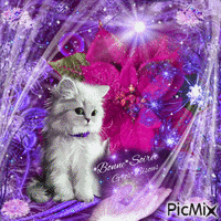 df168aeb2547e3e2d2d314203863fce7