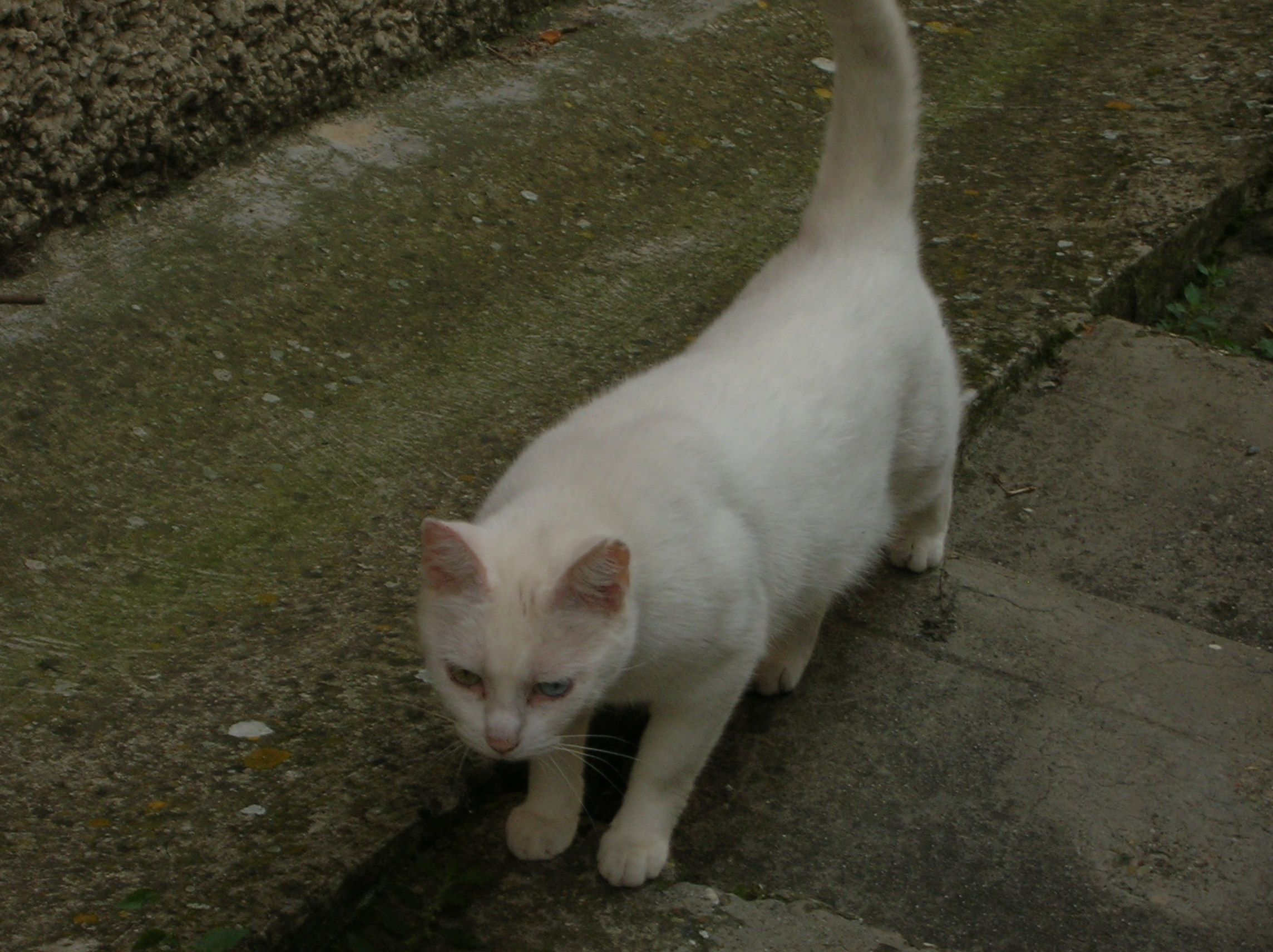 DSCN2183.jpg