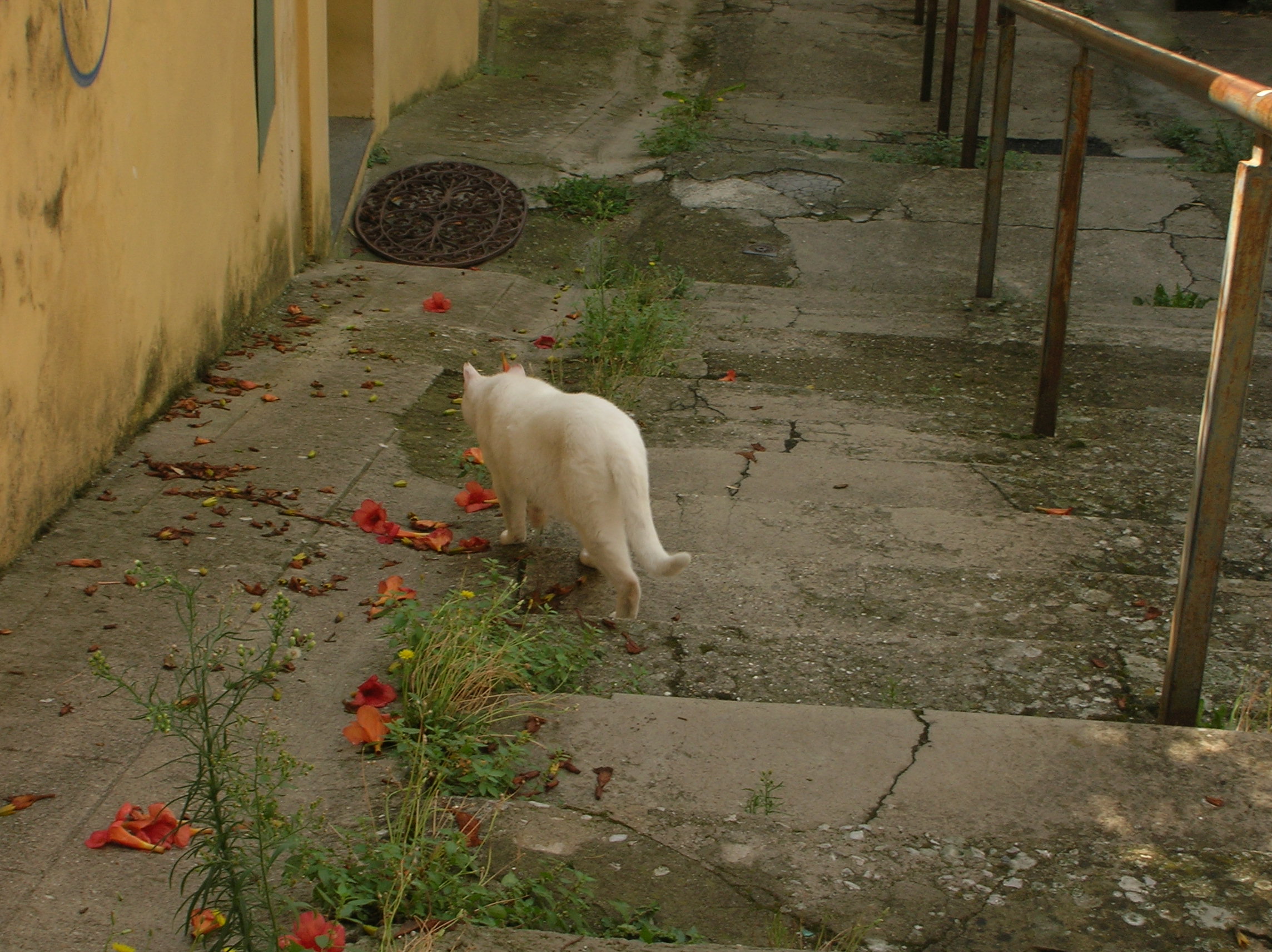 DSCN2168.jpg