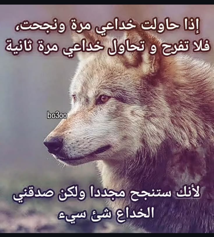 e36227d246b31123bad36da08c349e31