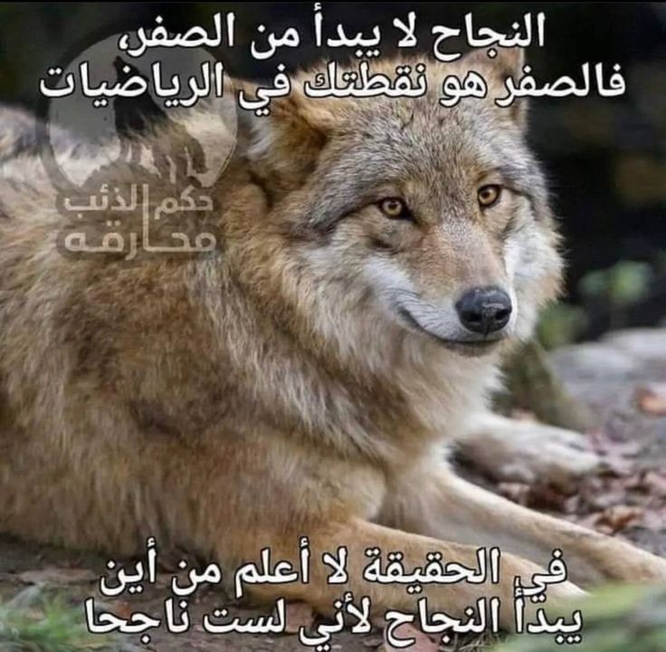 18ec3614f9195671482a97ee492fd52b