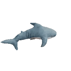 blajag