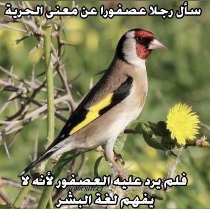 c82228a7c2ed08757187fb0aec5402a8