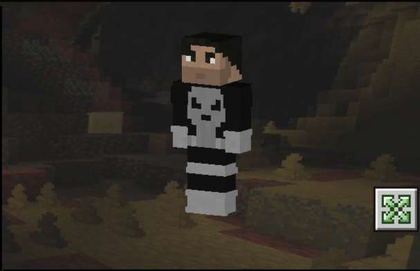 The Punisher