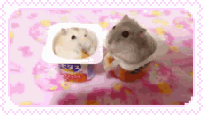 Tumblr l 306811058373825