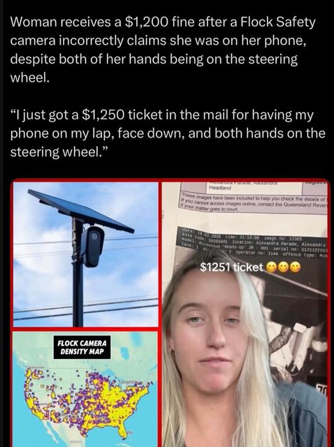 Flock fined for driving normally