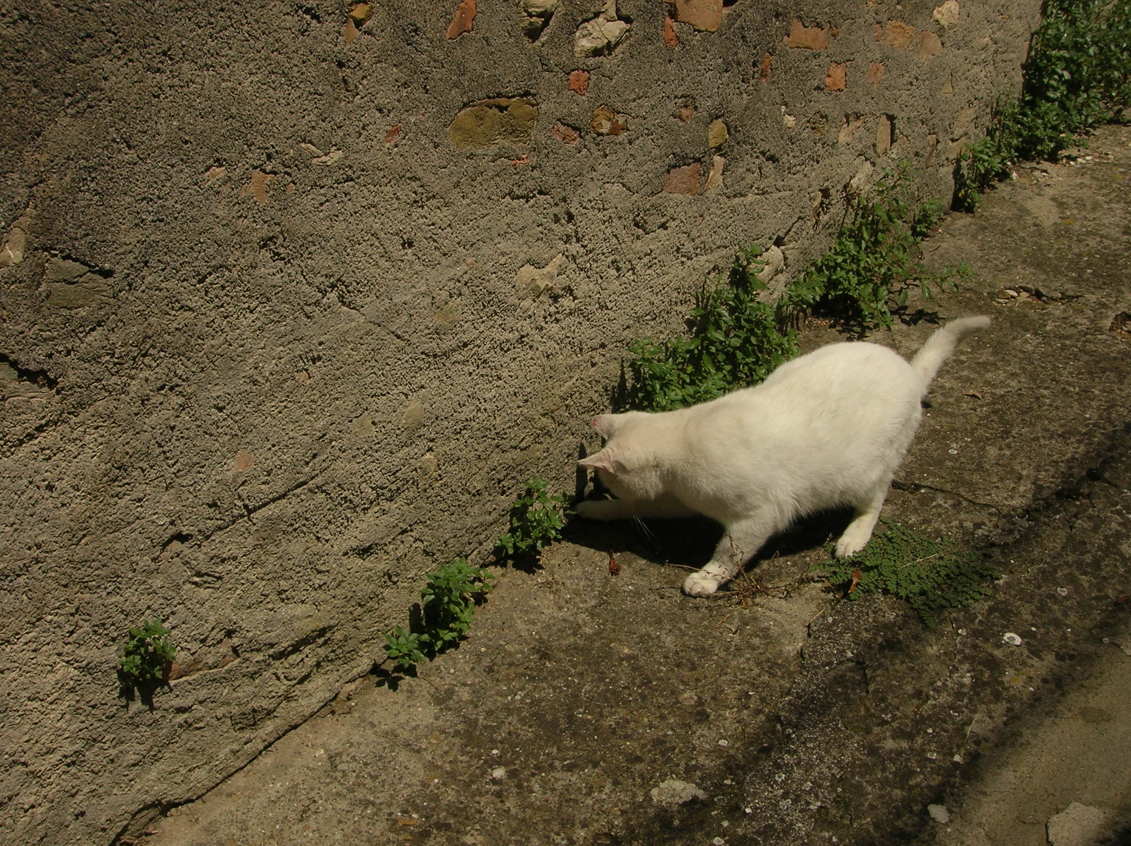 DSCN2179.jpg