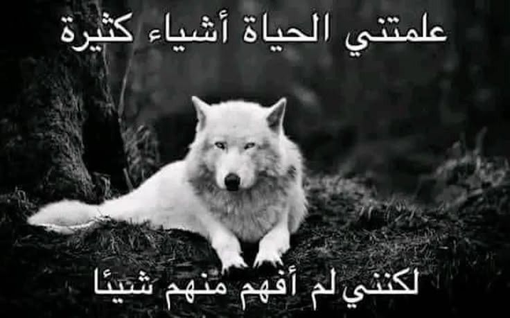 c174a288218774d2c214bd054bbb7ef0