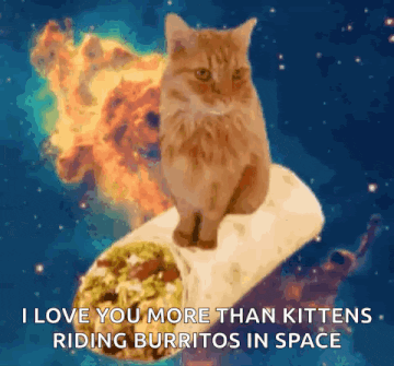 cat taco
