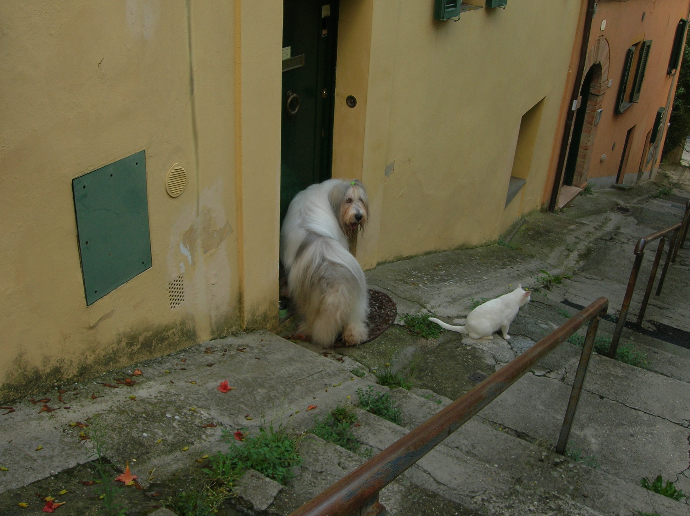 DSCN2197.jpg