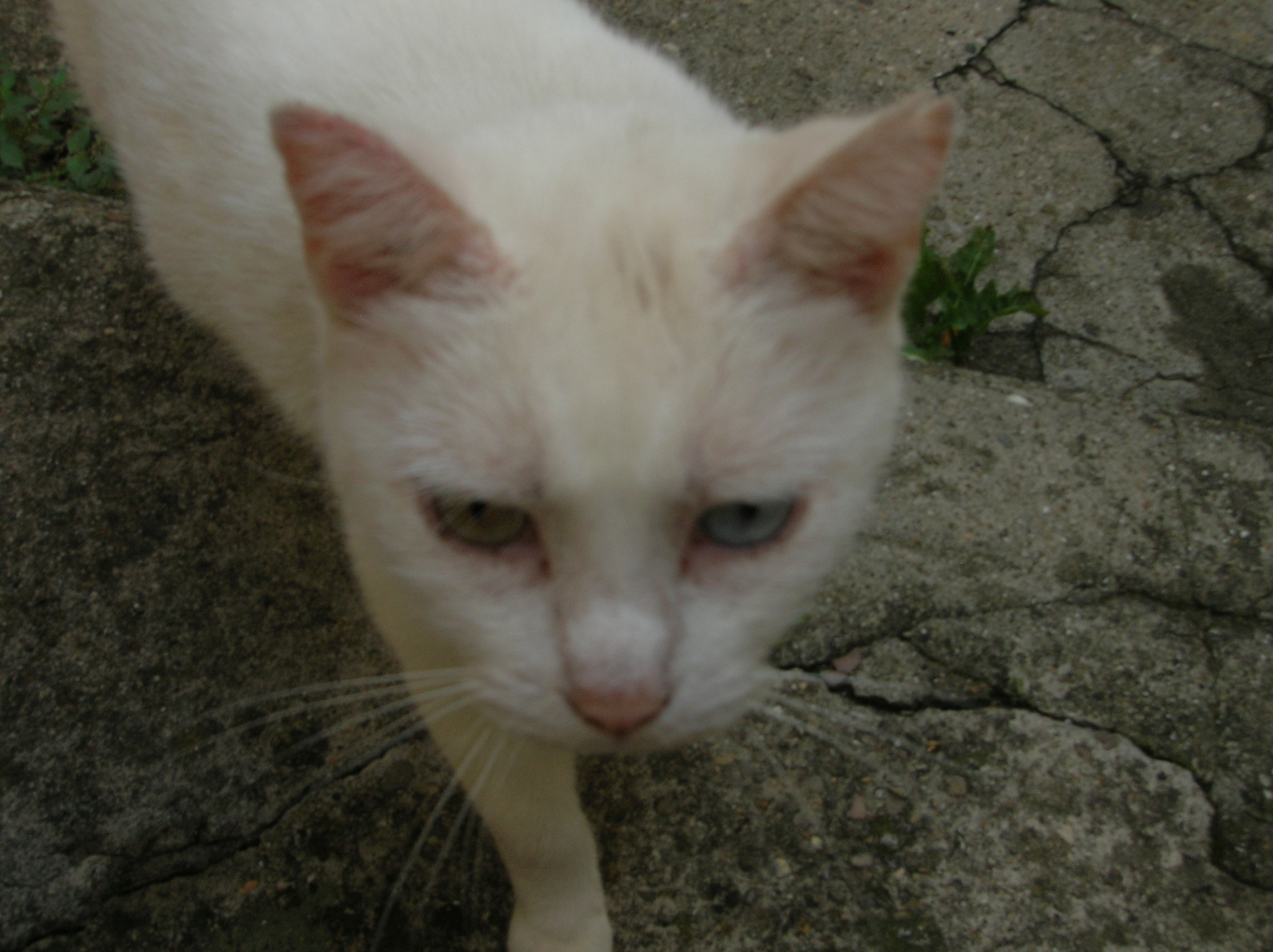 DSCN2172.jpg