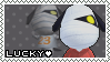 IMG-3981