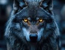 images (6) (3)