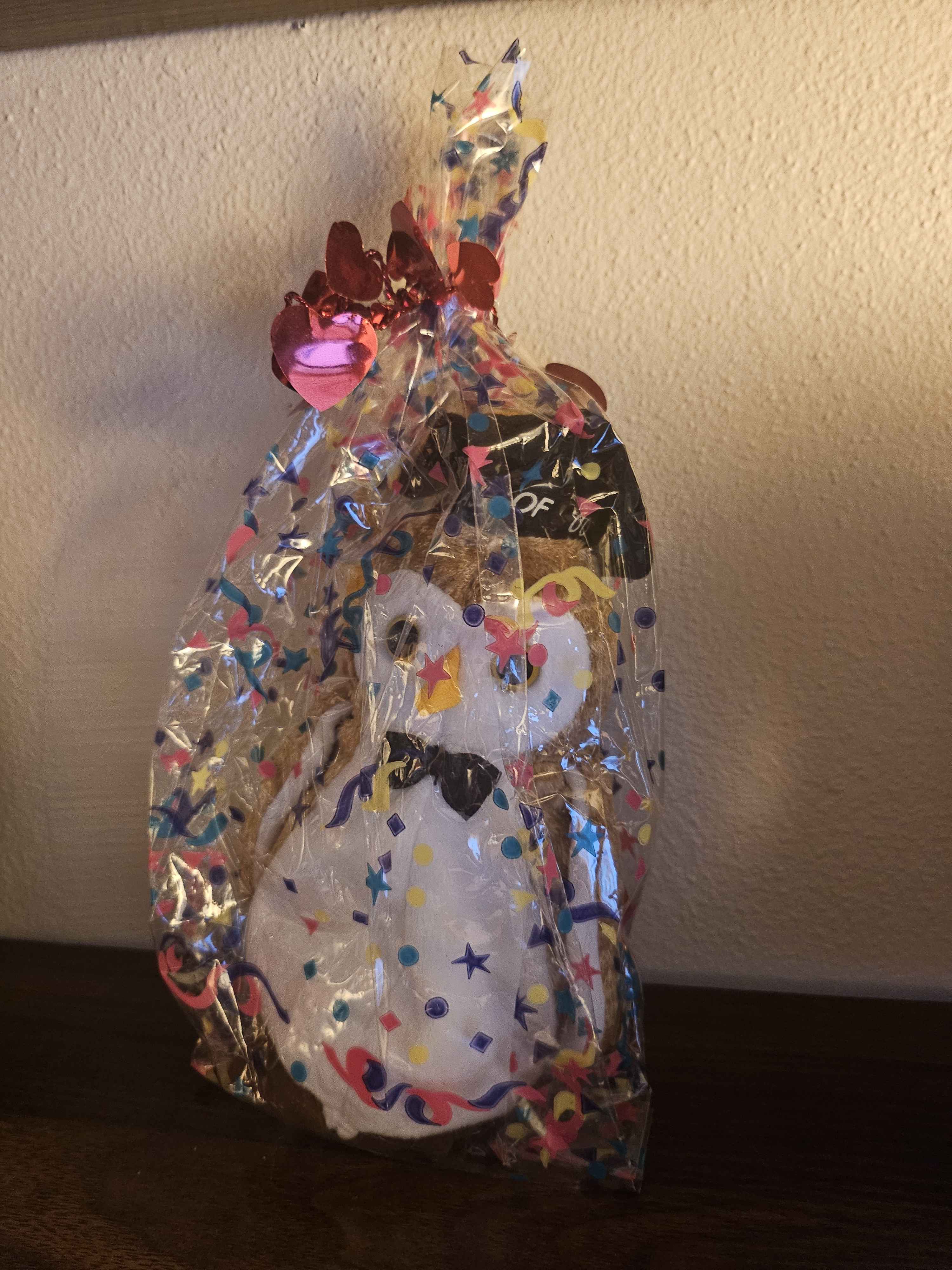 Class of 2000 graduation Beanie Baby