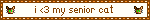 blinkies Cafe MG