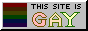 This-sight-is-gay