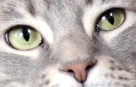 Screenshot-2026-08-01-235159.png