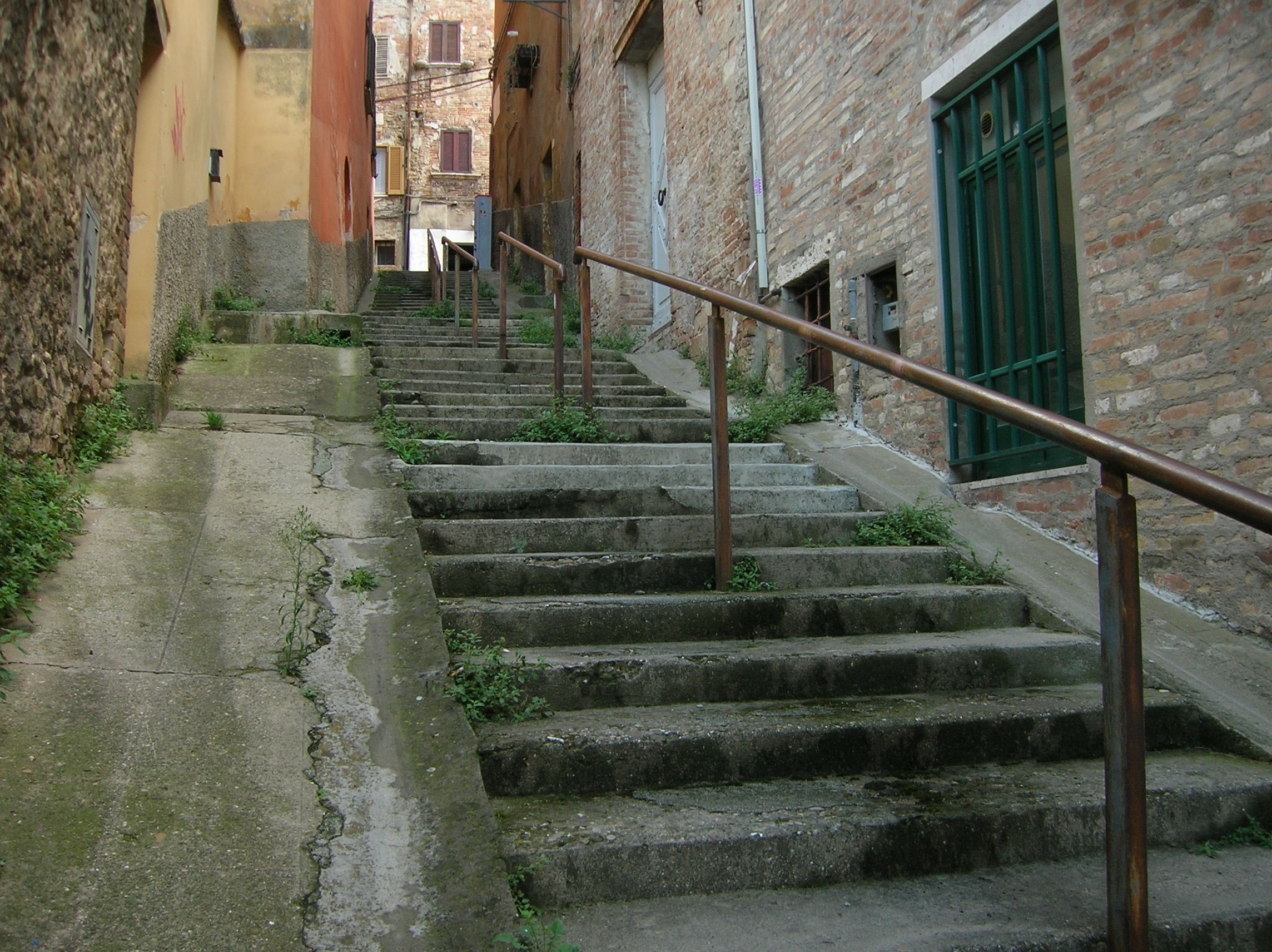DSCN2195.jpg