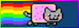 Rainbw-border-nyan