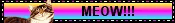 IMG-6936