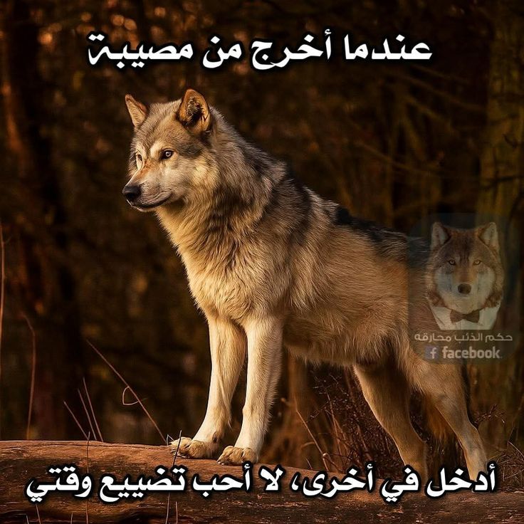 b6ad426dfb23581375f8353dec30d236