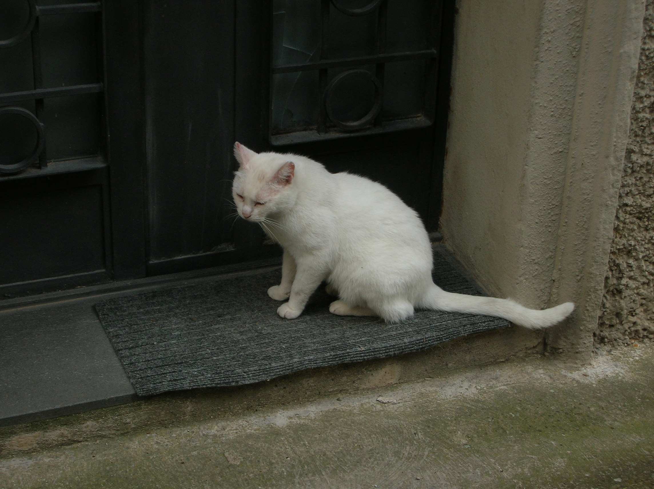DSCN2187.jpg