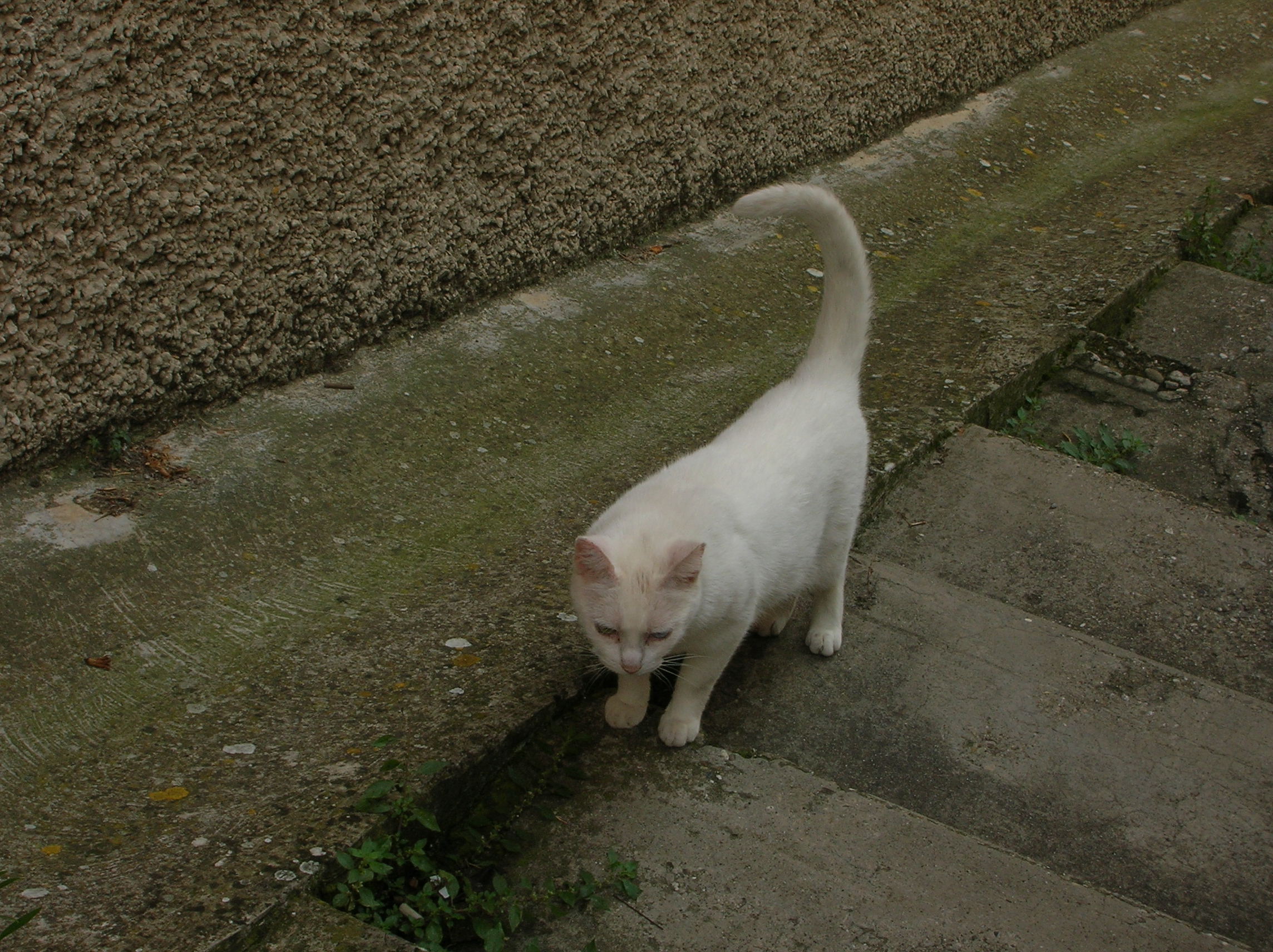 DSCN2184.jpg