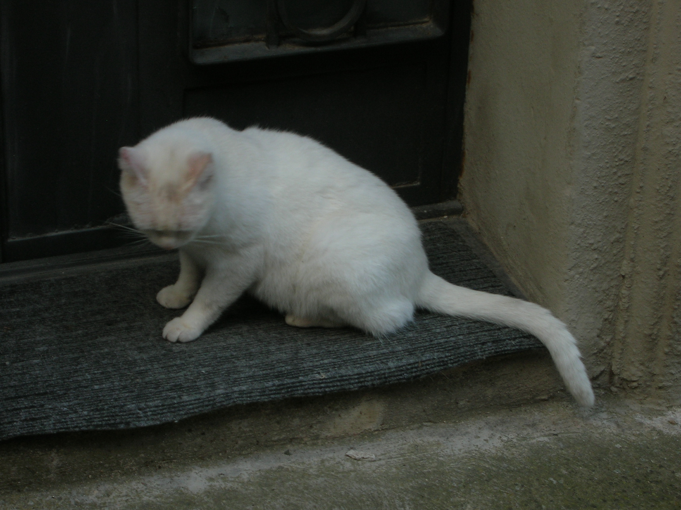 DSCN2194.jpg