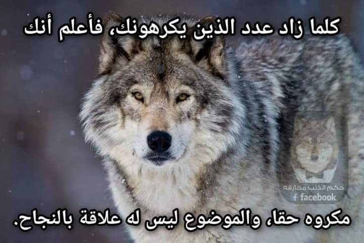 6b444bc9e57125272ab1ff44ae832290