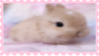 Tumblr l 306907761596523