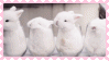 Tumblr l 306911129639677