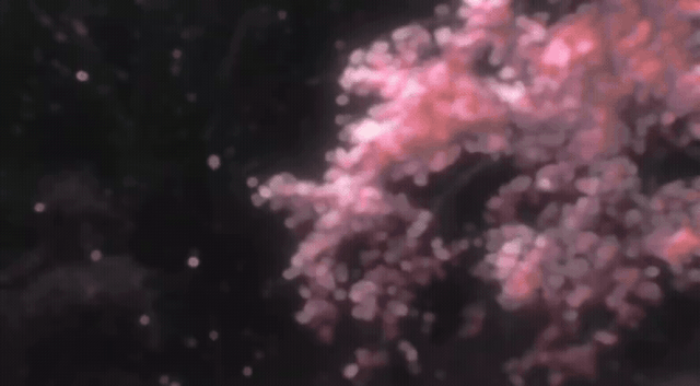 c76684743f66c3bad8a53b37fd713242