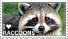 tumblr af16fb3b28a3efcf64eddfcf7f3f9ac1 e2102788 100